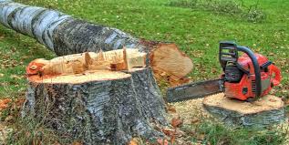 Mulching Services in Jamestown West, NY