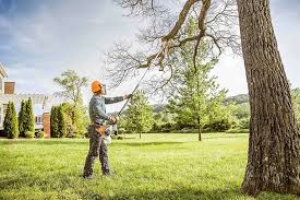 Best Tree and Shrub Care  in Jamestown West, NY